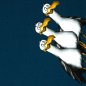 Preview: Seagull Ole Thorsten Berger Möwen seitlich auf dem Panel